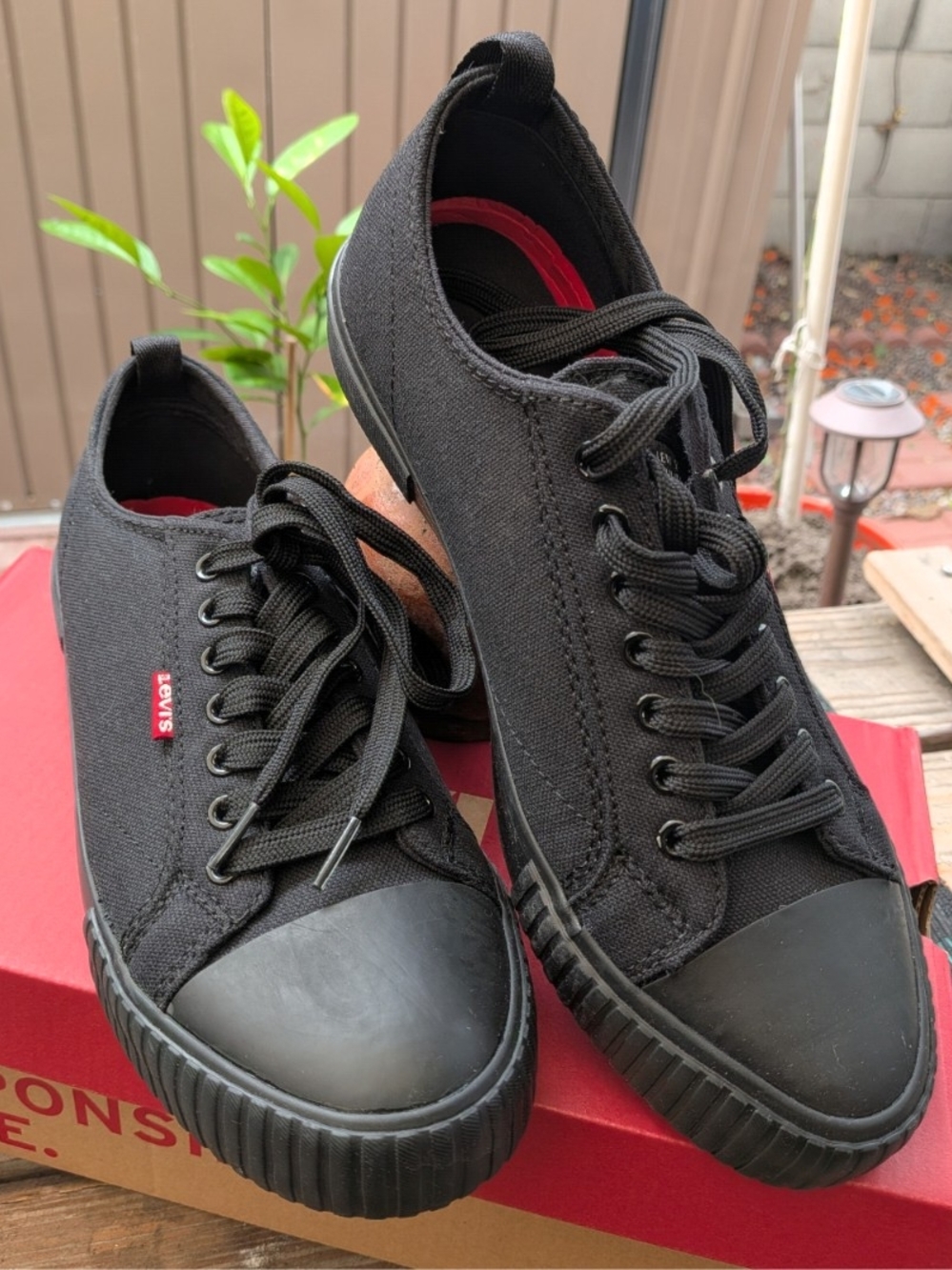 Levi's Men's Black Canvas Lace-Up Sneakers with Red Insole Accent